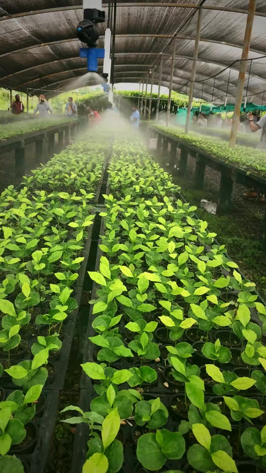 Greenhouse visit with farmers